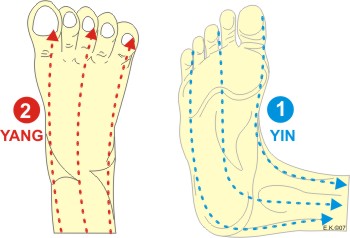 Reflexology Massage Yin-Yang - Stroking