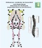 Reflexology - Sclerotomes on the front - zones on the bones referred to the spinal floors