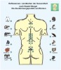 Reflexology - Shu points of the acupuncture on the back