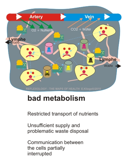 Reflexology - Basics - Bad Metabolism