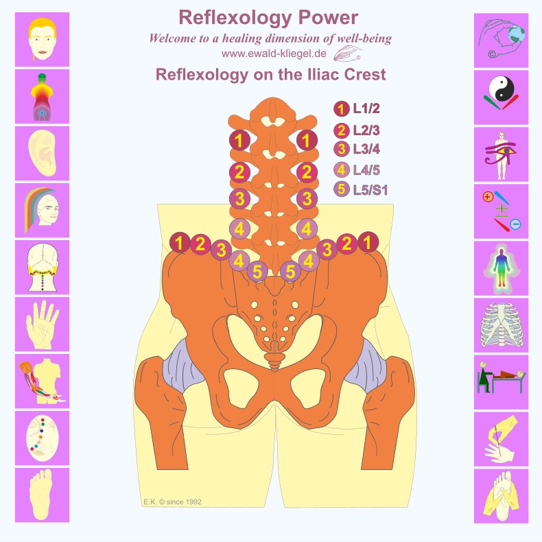 Reflexzonen Power Ewald Kliegel Reflexology on the Iliac Crest