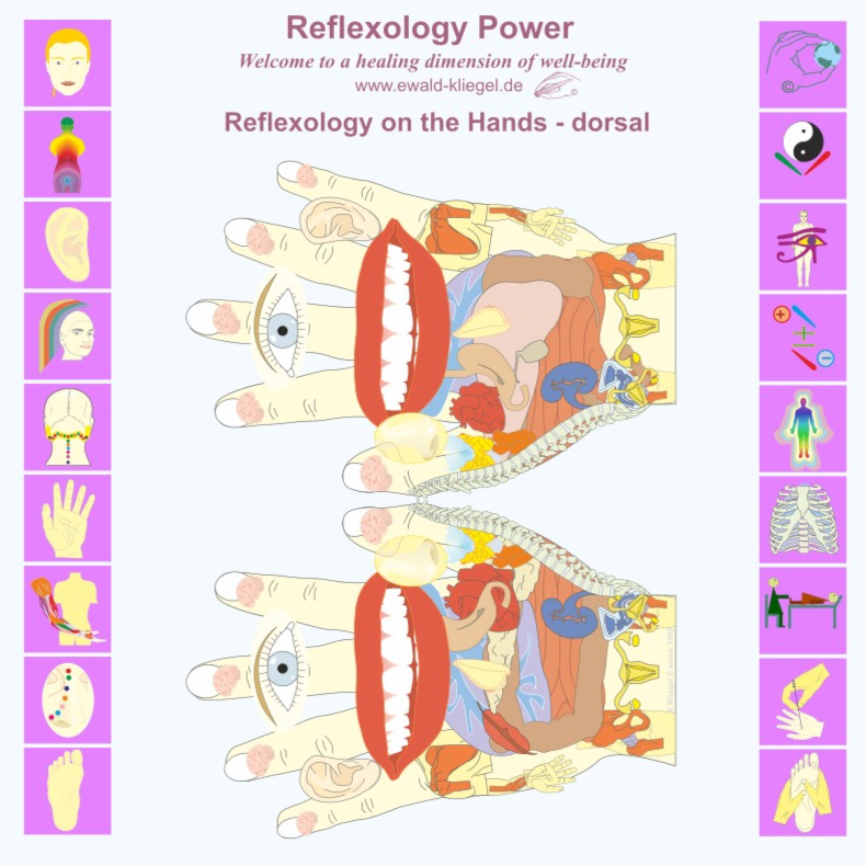 Reflexzonen Power Ewald Kliegel Reflexology Reflexology on the Hands