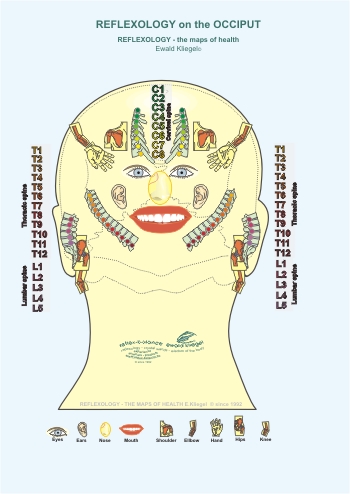 Reflexology on the Occiput