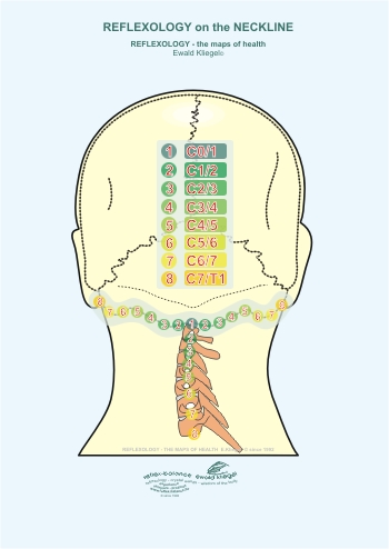 Reflexology on the Neckline