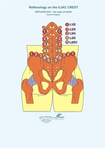 Reflexology on the iliac crest