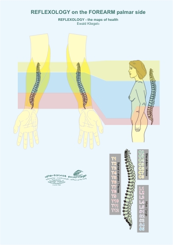 Reflexology on the Forearm