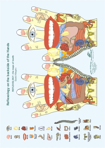 Reflexology on the back of the Hands