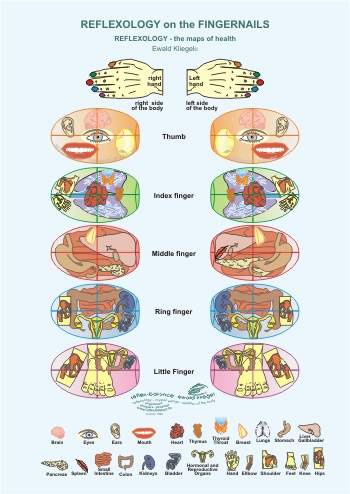 Reflexology on the Fingernails