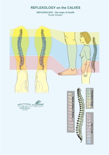 Reflexology on the Calf