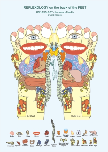 Reflexology on the Feet - Back