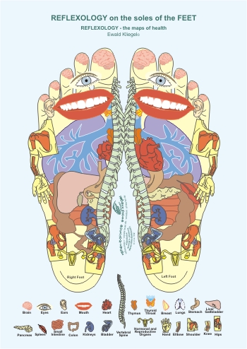 Reflexology on the Feet - Soles