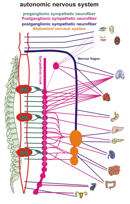 Reflexology - inner communication