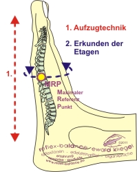 Aufzugtechnik - Fuß-Reflexzonen Aufzugtechnik - Fuß-Reflexzonen