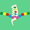 Ewald Kliegel - Reflexology at the iliac crest