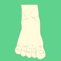 Ewald Kliegel - Reflexology on the feet dorsal