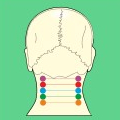 Ewald Kliegel - Reflexology - Lymphatic points at the neck