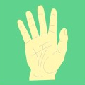 Ewald Kliegel - Reflexology on the hands palmar