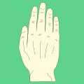 Ewald Kliegel - Reflexology on the hands dorsal