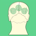 Ewald Kliegel - Reflexology on the back of the head