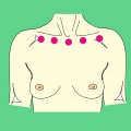 Ewald Kliegel - Reflexology - Lymphatic belt