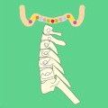 Ewald Kliegel - Reflexology on the line of the neck
