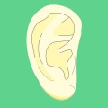 Ewald Kliegel - Reflexology at the ear