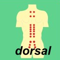 Ewald Kliegel - Reflexology - SHU points on the back