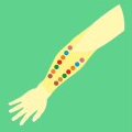 Ewald Kliegel - Reflexology Forearm dorsal