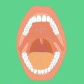 Ewald Kliegel - Reflexology relations to the teeth