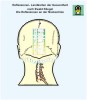 Reflexology on the neck line