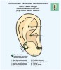 Reflexology on the ears - Mental points