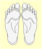 Result sheet Feet - free download