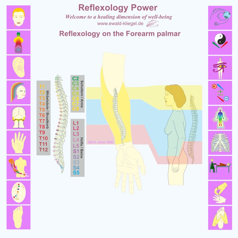 Reflexzonen Power Ewald Kliegel Reflexology on the Forearm