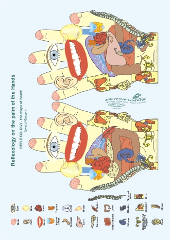Reflexology on the palm of the Hands
